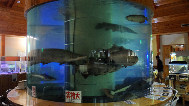 kagoshima20120260.jpg