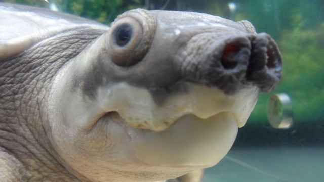 kagoshima20120268.jpg