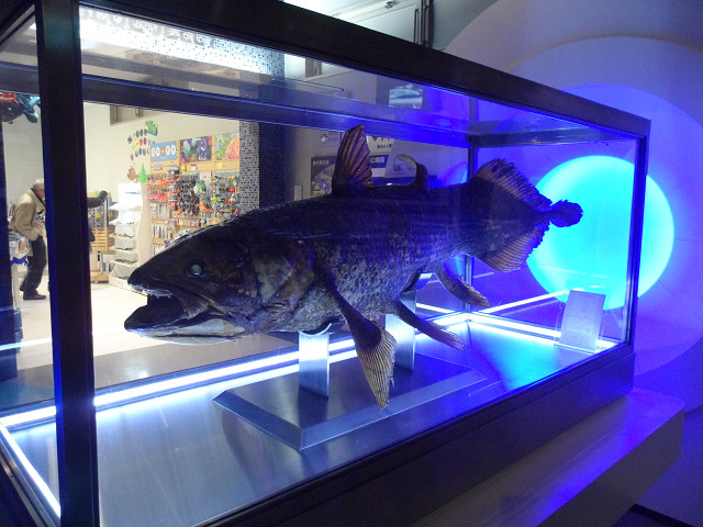 numazu0685.jpg
