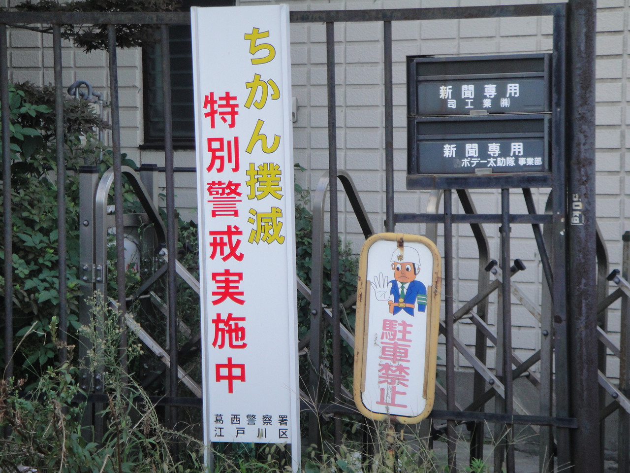 resize0071.jpg