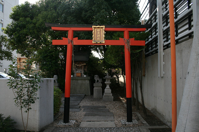 resize0081.jpg
