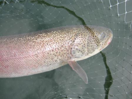 IMG_1254.jpg