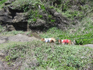 cd012050408.jpg