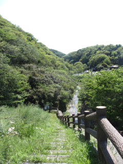 cd012050538.jpg