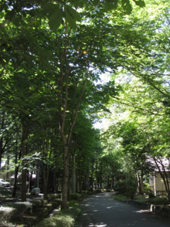 cd012080603.jpg