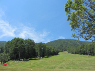 cd012080617.jpg