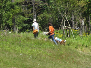 cd012080631.jpg