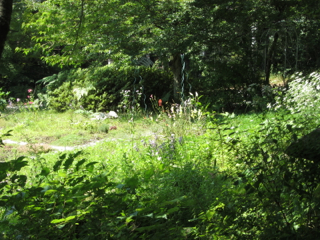cd012080715.jpg
