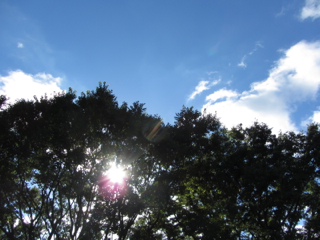 cd012082201.jpg