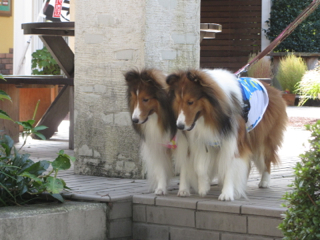 cd012100523.jpg