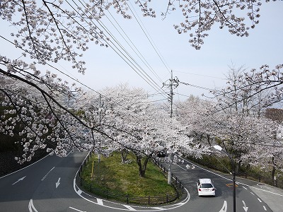 P1020085.jpg