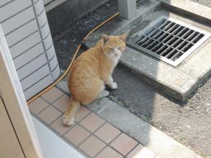 DSCN1058.jpg