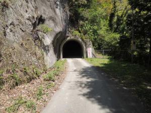 DSCN1062.jpg