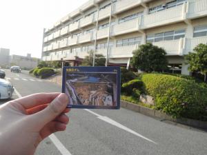 DSCN1120.jpg