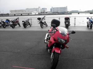 NCM_0551.jpg