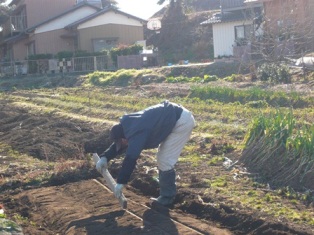 20130111 (4)