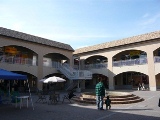 20130113 (13)