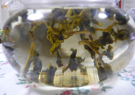 20130322 (3)