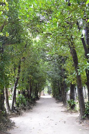 20130331 (7)