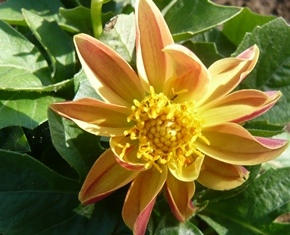 0512jikka (13)