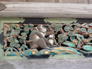 nikko1 (21)
