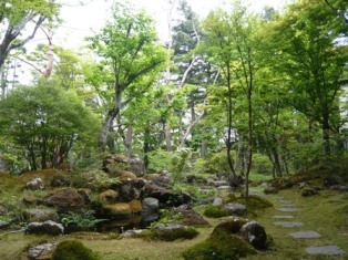 nikko2 (5)