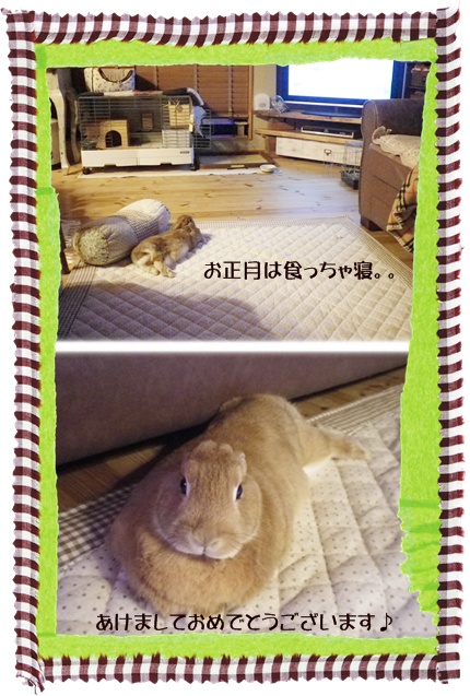 なばたとしたか6