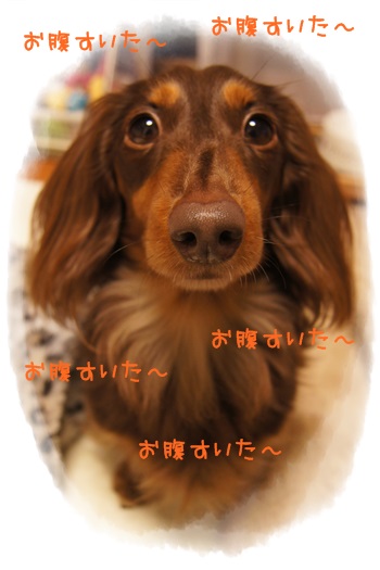 036_20130417190315.jpg