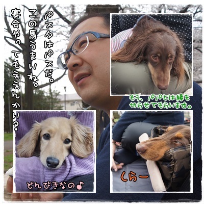 page_20130326211510.jpg