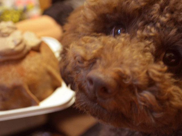 20121224cris2mm.jpg