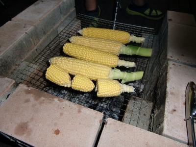 20120819 (6)