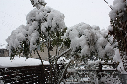 002_20140214212154141.jpg