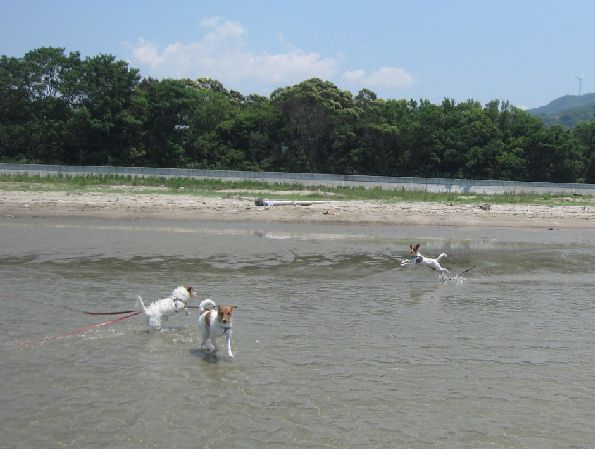 IMG_15554.jpg