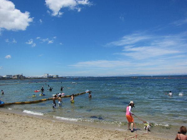 IMG_6236.jpg