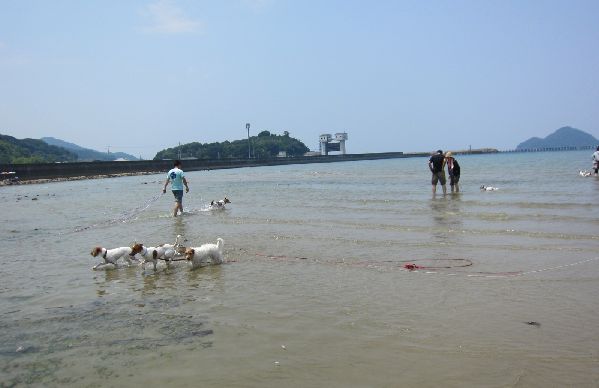 IMG_6265.jpg