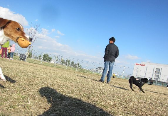 IMG_7995.jpg