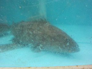 IMG_8298.jpg