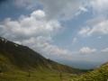 Image5290.jpg