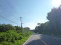 Image5792.jpg