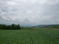 Image5848.jpg