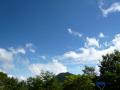 Image5897.jpg