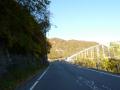 Image6194.jpg