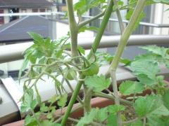 DSC00465.jpg