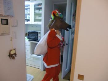 CIMG7530_convert_20121215211216.jpg