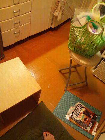DSC_0939_convert_20120731123301.jpg