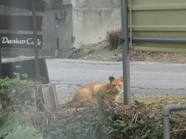 DSC01876.jpg