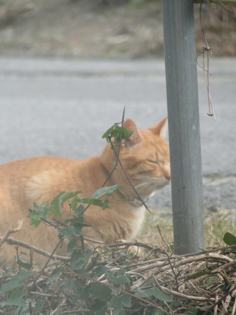 DSC01880.jpg