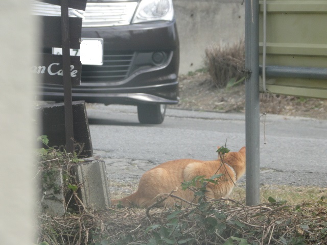 DSC01881.jpg