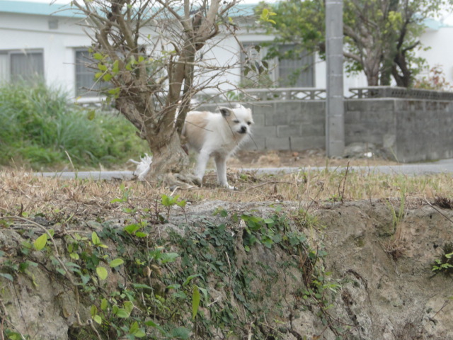 DSC01892.jpg
