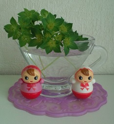 花みどり